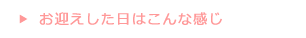 お迎えした日はこんな感じ